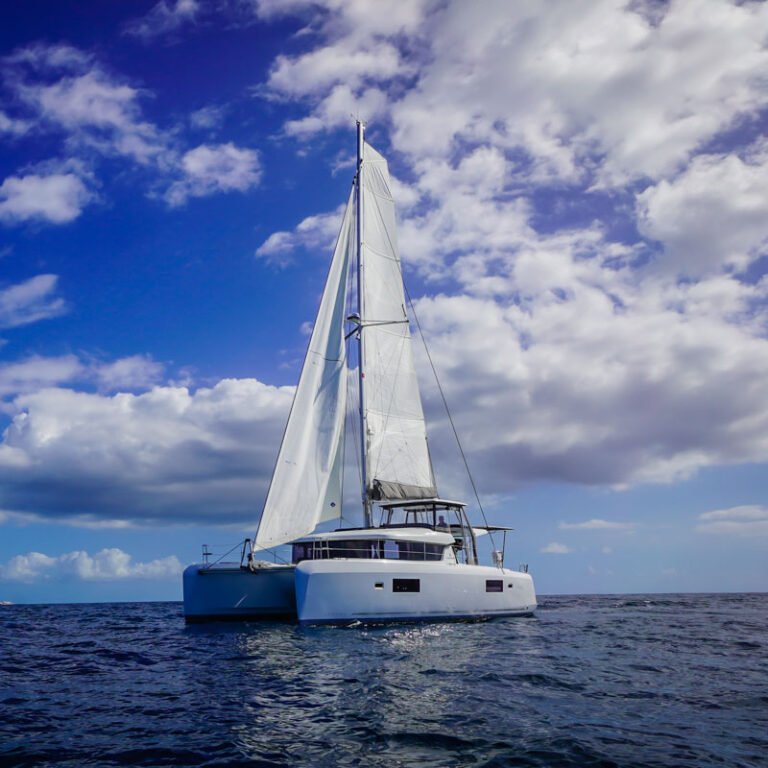 catamaran14